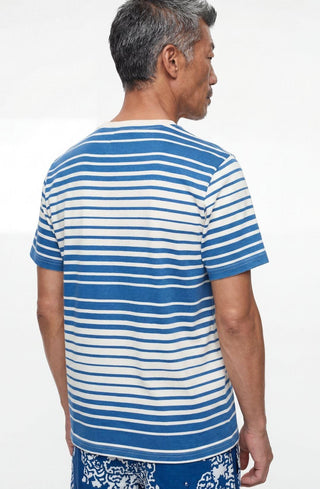 TEE 501