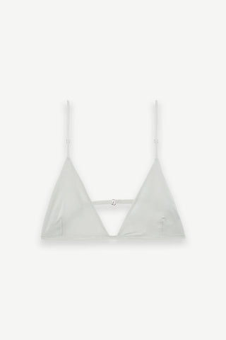 BRA 101