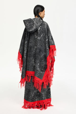 PANCHO 102