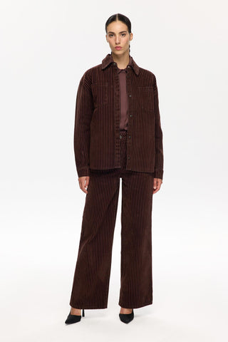 PANT 013