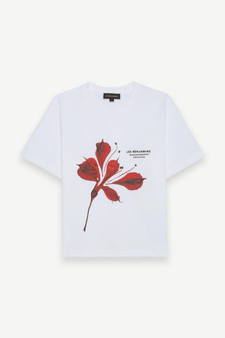 REGULAR TEE 012