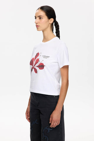 REGULAR TEE 012