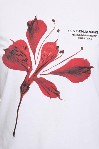 REGULAR TEE 012