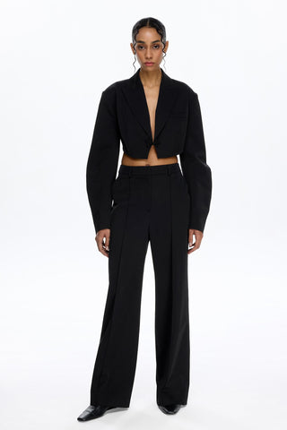 PANT 103