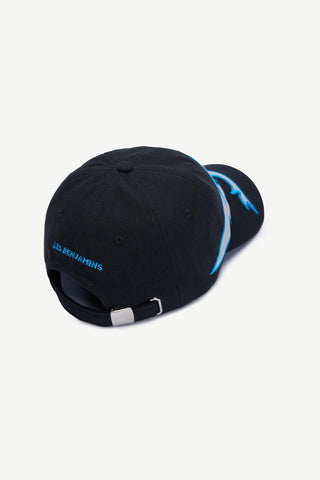 CAP 006