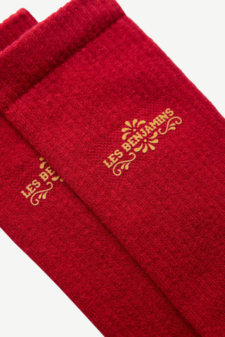 SOCKS 004