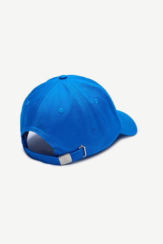 CAP 310
